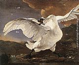 Jan Asselyn The Threatened Swan painting
